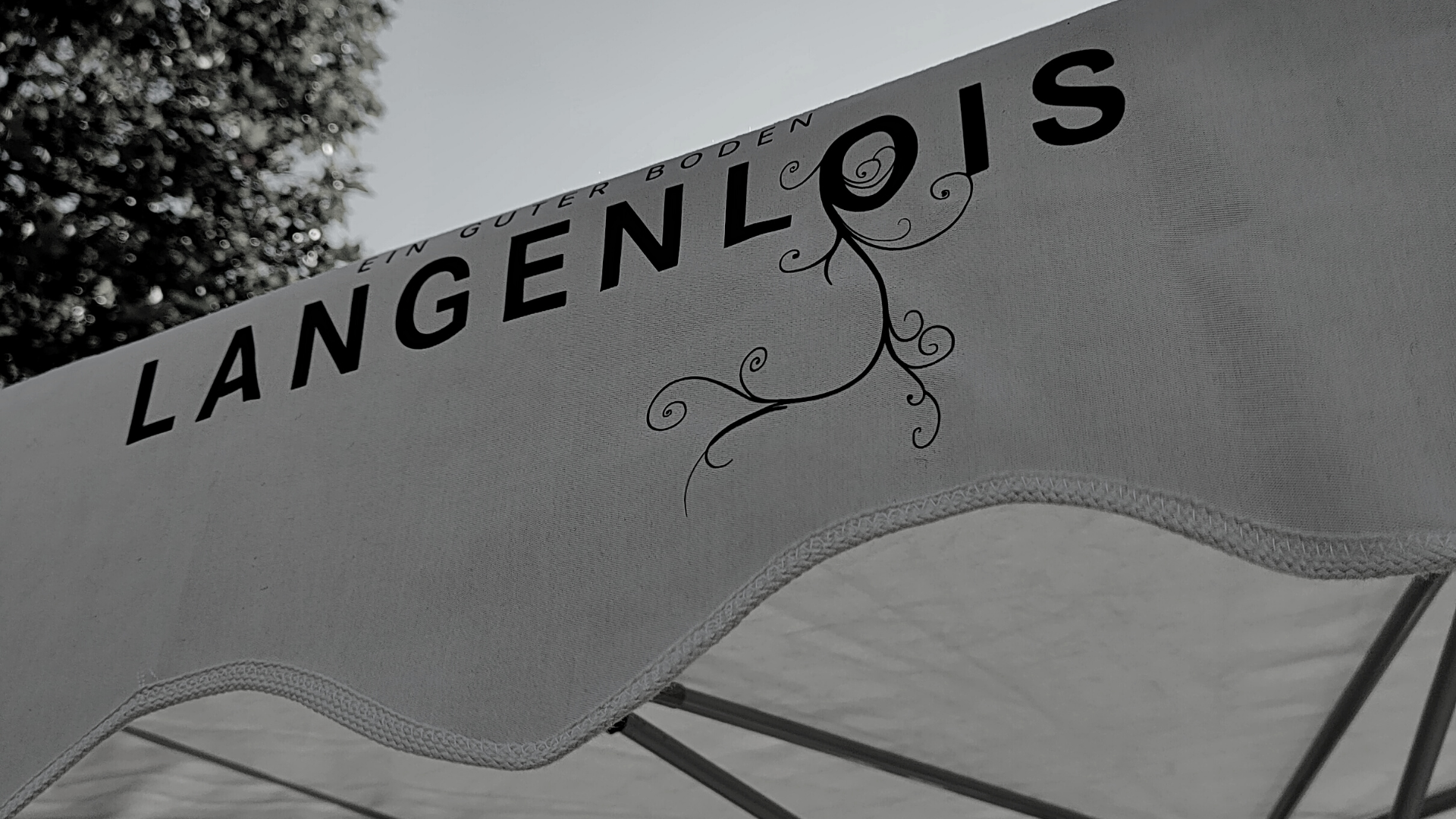 Genussmarkt Langenlois 2025
